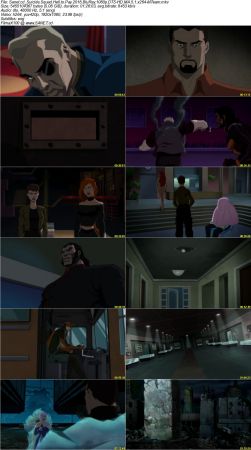 Suicide Squad Hell to Pay 2018 BluRay 1080p DTS-HD MA 5.1 x264-MTeam