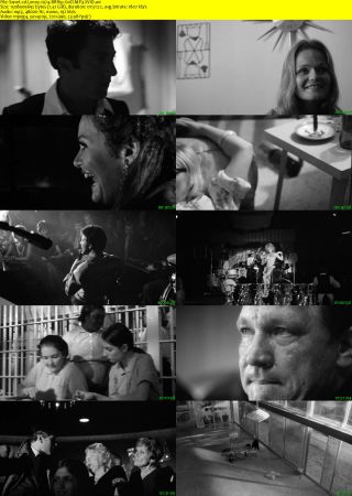 Lenny 1974 BRRip XviD MP3-XVID