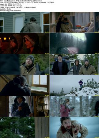 Braven 2018 MULTi 1080p BluRay x264-LOST