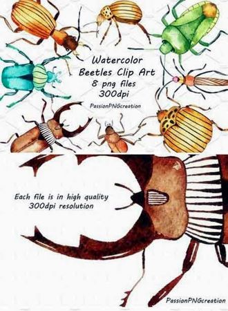 Watercolor beetles clipart 2404991
