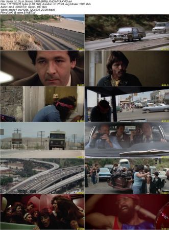 Up in Smoke 1978 BRRip XviD MP3-XVID