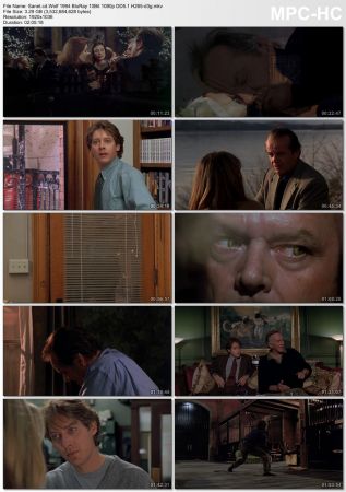 Wolf 1994 BluRay 10Bit 1080p DD5.1 H265-d3g