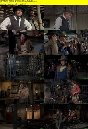 El Dorado 1966 1080p BluRay H264 AAC-RARBG
