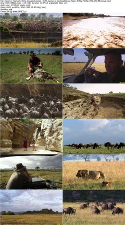 Smithsonian Earth - Nomads of the Serengeti Series 1 2018 1080p HDTV x264 AAC MVGroup