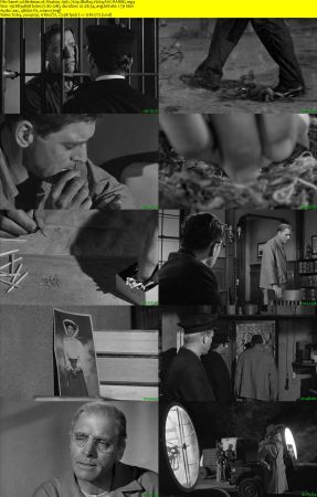 Birdman of Alcatraz 1962 720p BluRay H264 AAC-RARBG