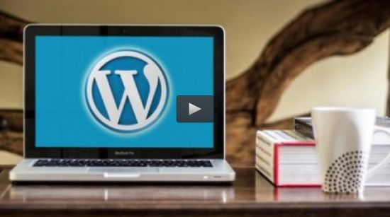 WordPress Profits: Make More Money Selling eBooks &amp; Courses