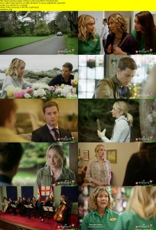 Once Upon A Prince 2018 720p HDTV x264-W4F