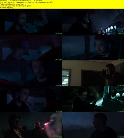Beast of Burden 2018 BDRip x264-PSYCHD