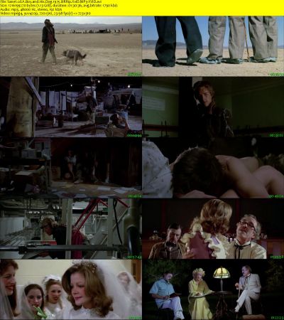 A Boy and His Dog 1975 BRRip XviD MP3-XVID