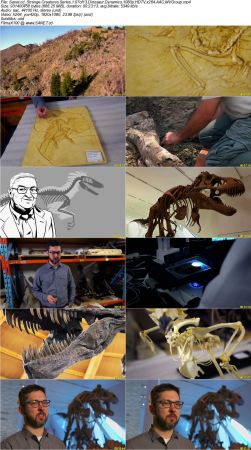 BlueAntMedia - Strange Creatures Series 1 2017 1080p HDTV x264 AAC MVGroup