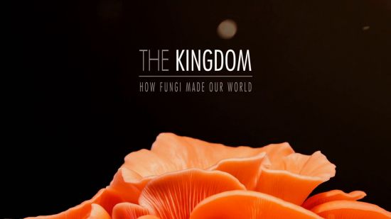 CBC The Nature Of Things - The Kingdom: How Fungi Made Our World (2018) 720p WebRip x264 AC3-TVC