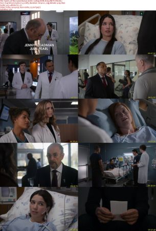 The Good Doctor S01E17 1080p WEB H264-METCON