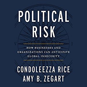 Political Risk: How Businesses and Organizations Can Anticipate Global Insecurity Audiobook