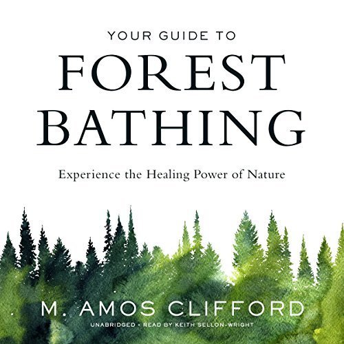 Your Guide to Forest Bathing: Experience the Healing Power of Nature Audiobook