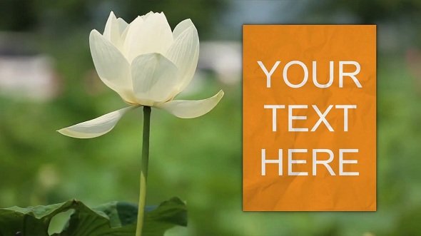 Unfolding Transition - After Effects Templates