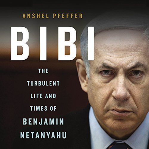 Bibi Audiobook