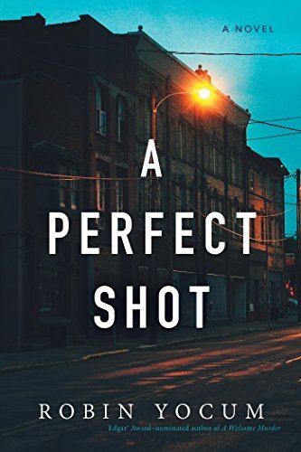 A Perfect Shot: A Novel