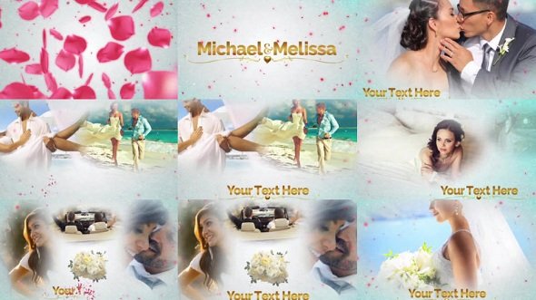 Rose Wedding 10423237 - After Effects Templates