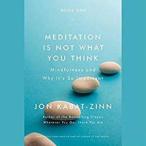 Meditation Is Not What You Think: Mindfulness and Why It Is So Important Audiobook