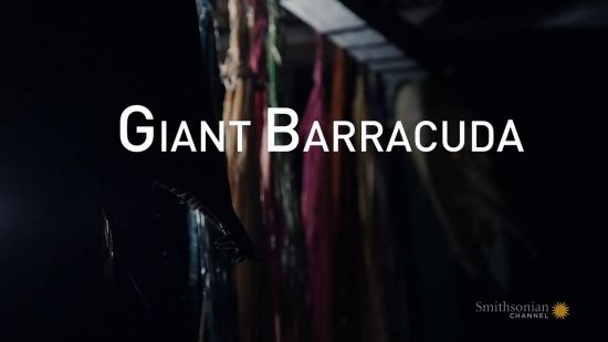Smithsonian Channel - Fishing for Giants Giant Barracuda 2018 iNTERNAL 720p HDTV x264-iM@X