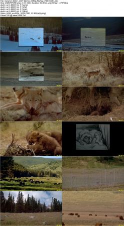 IMAX Documentary Collection HD 1080p-Mixed