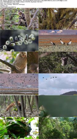 Mysteries Of The Mekong - The Journey Begins China 2017 720p AMZN WEB-DL DD2.0 x264-iM@X