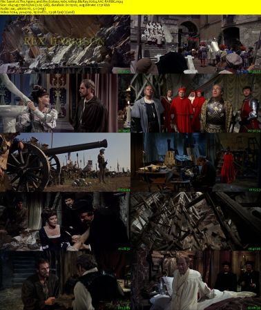 The Agony and the Ecstasy 1965 1080p BluRay H264 AAC-RARBG