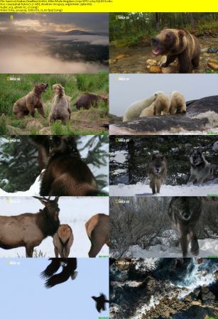 NAT. GEO. WILD - Alaskas Deadliest: Killer Whale Kingdom S01E02 (2018) 720p HDTV x264-SQUEAK