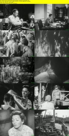 Three Came Home 1950 iNTERNAL DVDRip x264-REGRET