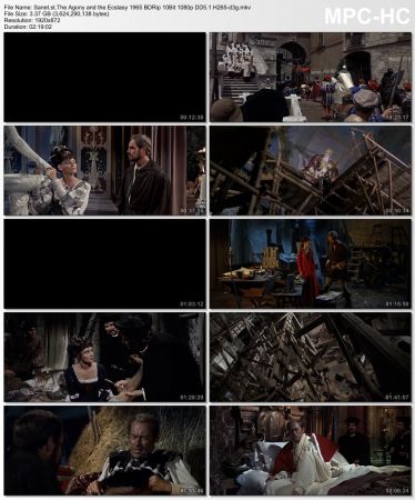 The Agony and the Ecstasy 1965 BDRip 10Bit 1080p DD5.1 H265-d3g