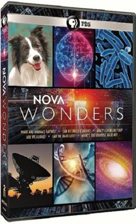 PBS - NOVA Wonders: What's the Universe Made of? (2018) 720p HDTV x264 MVGroup