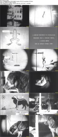 Mechanics of the Brain 1926 DVD5 NTSC DD2.0 MPEG2-NOGRP