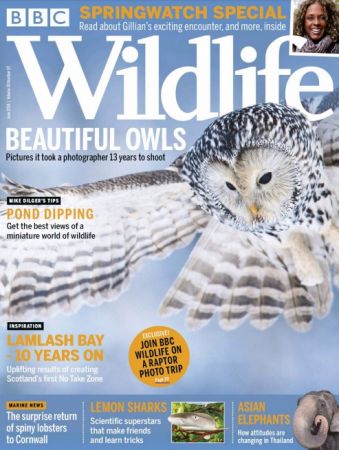 BBC Wildlife - June 2018