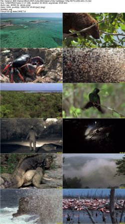 BBC Natural World - Cuba Wild Island of the Caribbean 2005 720p HDTV x264 AAC MVGroup