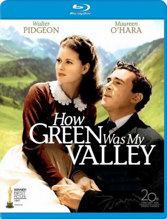 How Green was my Valley 1941 BRRip 1080p DD5.1 H265-d3g