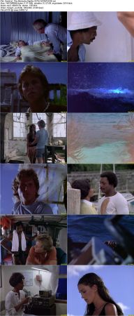 The Bermuda Depths 1978 DVDRiP XVID-NOGRP