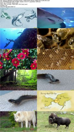 Smithsonian Earth - Mysteries of Evolution Series 1 2017 1080p HDTV x264 AAC MVGroup