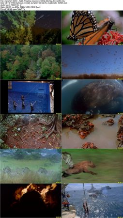 IMAX Documentary Collection HD 1080p-Mixed