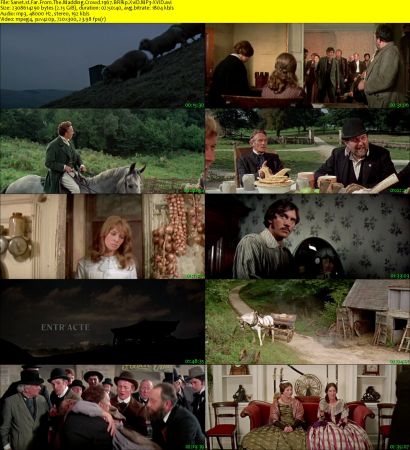 Far From The Madding Crowd 1967 BRRip XviD MP3-XVID