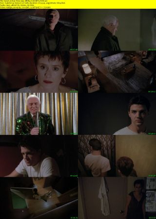 Star Time 1992 BRRip XviD MP3-XVID