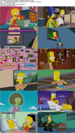 The Simpsons S29E21 1080p WEB x264-TBS