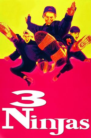 3 Ninjas 1992 WEBRip x264-ION10