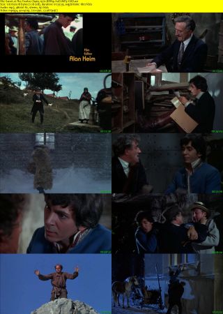 The Twelve Chairs 1970 BRRip XviD MP3-XVID