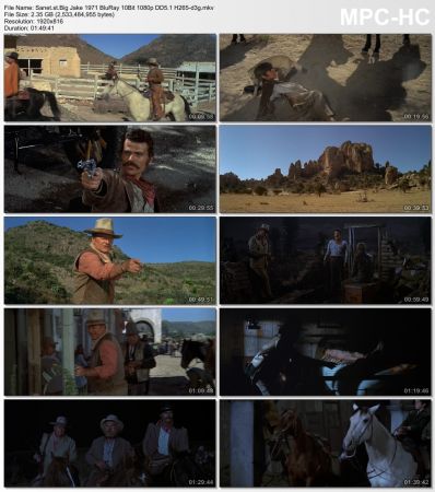 Big Jake 1971 BluRay 10Bit 1080p DD5.1 H265-d3g
