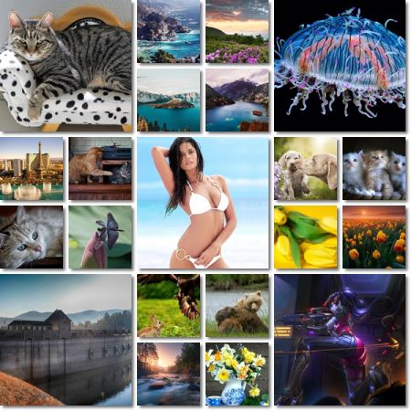 Desktop Beautiful Wallpapers Pack 1121