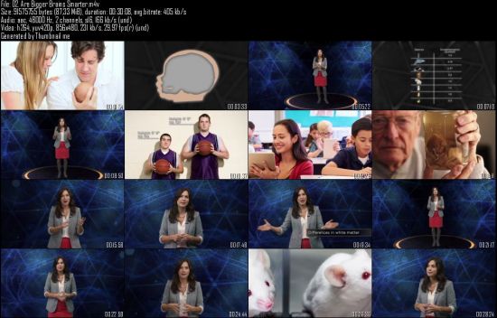 Brain Myths Exploded: Lessons from Neuroscience