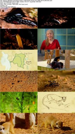 Smithsonian Earth - Mysteries of Evolution Series 1 2017 1080p HDTV x264 AAC MVGroup