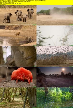 LoveNature - Big Dry: Series 1 (2017) 1080p HDTV x264 AAC MVGroup