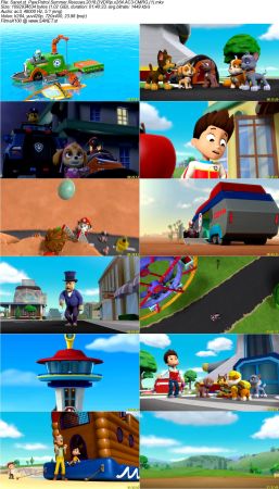 Paw Patrol Summer Rescues 2018 DVDRip x264 AC3-CMRG
