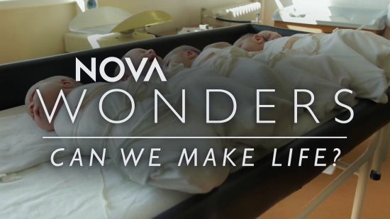 PBS - NOVA Wonders: Can We Make Life? (2018) 720p HDTV x264-DHD
